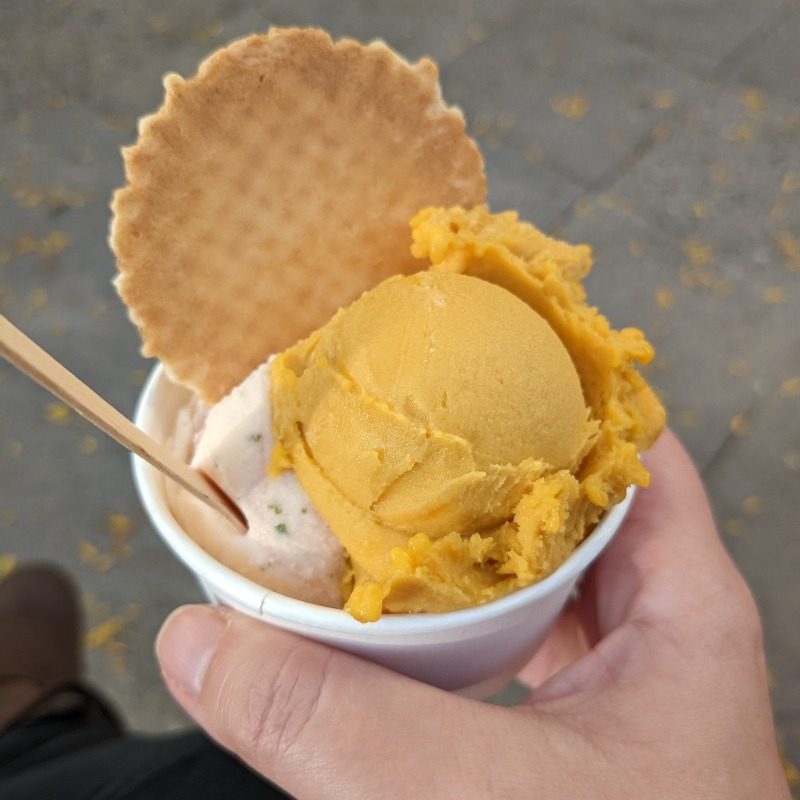 Eis aus dem Fior di Latte. Gelbes Mangoeis und rosa Blutorangeeis mit Basilikum.