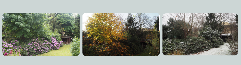 Sommer-, Herbst- und Winteraussicht aus dem Balkon in Lichterfelde Ost. Viel Grün. Laubbaum und Hecke