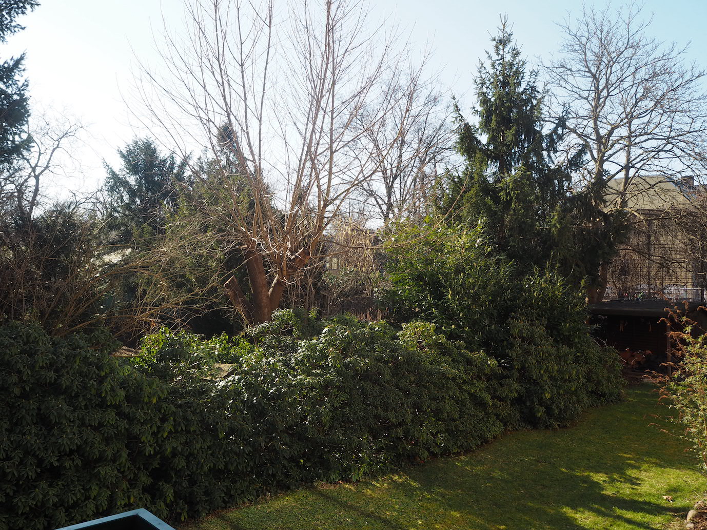 Blick in den Garten im März, es sind noch nicht alle Blätter da