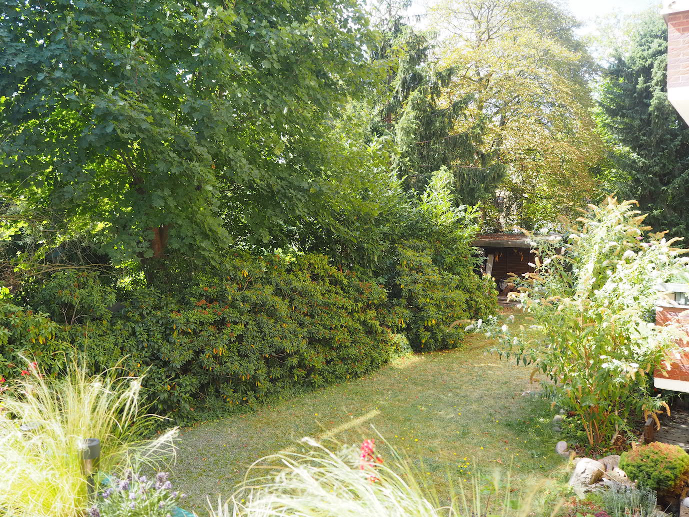 Blick in den Garten im August, der Rasen ist trocken